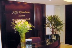 AGF Consultores